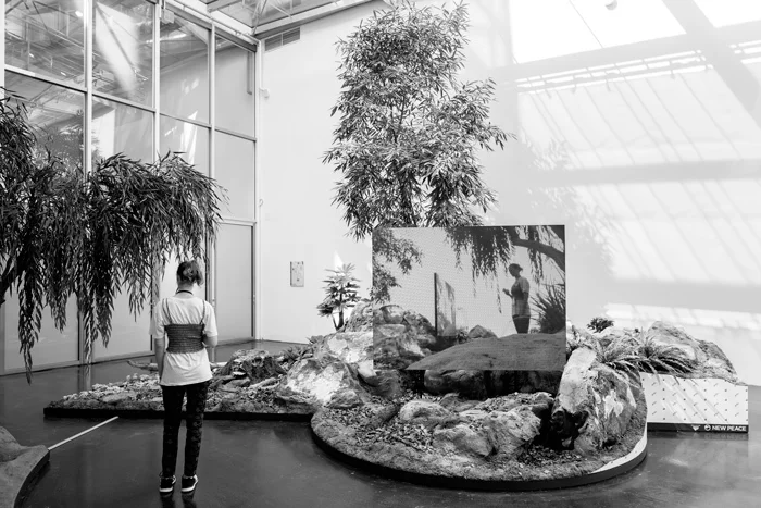 Тимур Си-Квин. «Отраженный ландшафт», 2016. Инсталляции в Академии искусства, Берлин, 2016. Фото Тимо Олер. Предоставлено автором; Sociét, Berlin; Studio Ramos и 9-й Берлинской биеннале современного искусства