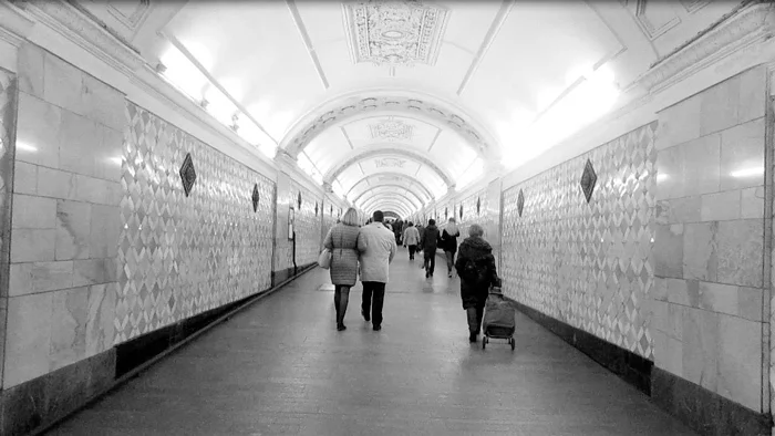Илья Плотников. «Петь осанну красному цвету», 2016