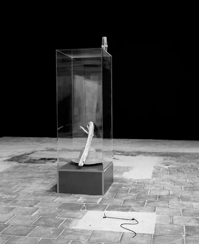 Александра Сухарева. «Случаи летающей головы», 2011. Фото из архива «ХЖ»