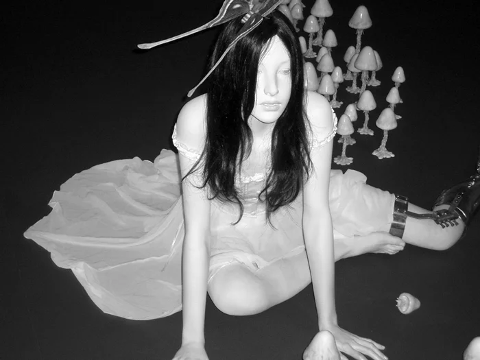 Мотохико Одани. «Эректро», инсталляция, 2006