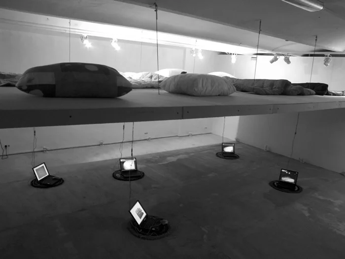 «Обледенение архитекторов». «Условия обитания», инсталляция, 2006