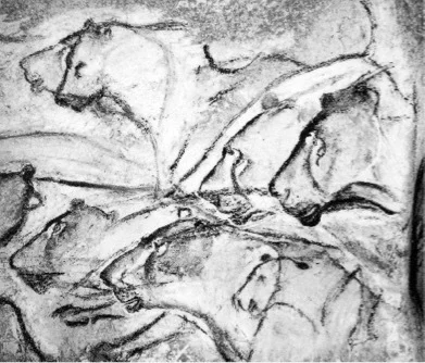 Палеолит, наскальное изображение львов. Пещера Шове, Франция.