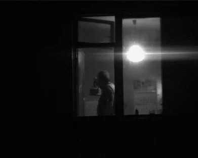 Ольга Чернышева. «Окна», 2007