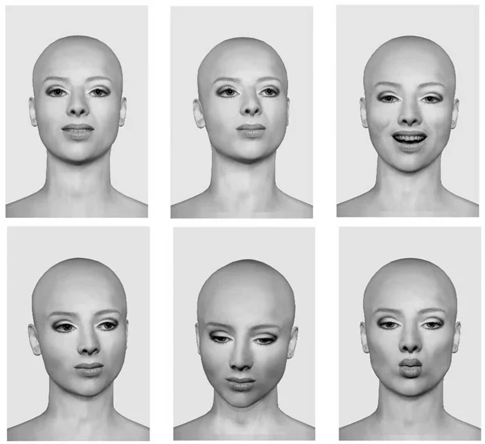 Кирстен Гайслер. "Virtual Beauties", цифровая графика 2004
