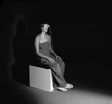 Карстен Хеллер. Проект «Лес», 2002. Предоставлено Galerie Air de Paris, Париж