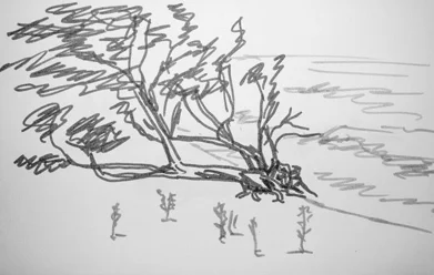 Илья Долгов. «Ольха, берег», 2016. Тушь, бумага. Предоставлено автором