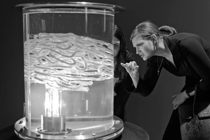 Томас Фойерштайн. «Поджелудочная железа», 2012. Процессуальная скульптура, перерабатывающая книги в глюкозу — универсальный источник энергии для клеток мозга. Деталь. Фото: Томас Фойерштайн
