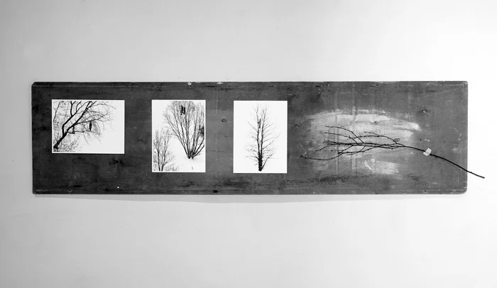 Наталья Зинцова. «Птички», 2009. Фото предоставлено автором