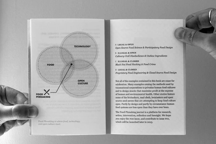 «Центр геномной гастрономии» «Food Phreaking». № 00, 2013. Оформление страниц