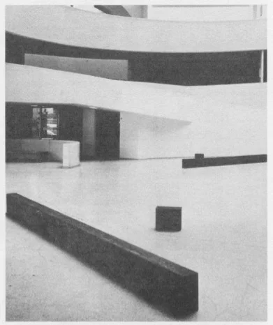 Ричард Серра. Другие и разные. 1976 г.