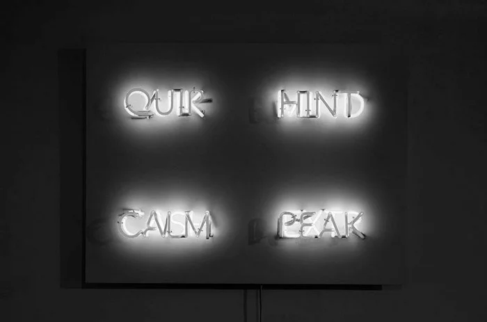 Бен Лэнглендс и Никки Белл «CALM:CASH (NASDAQ)», 2008. Неон и смешанная техника