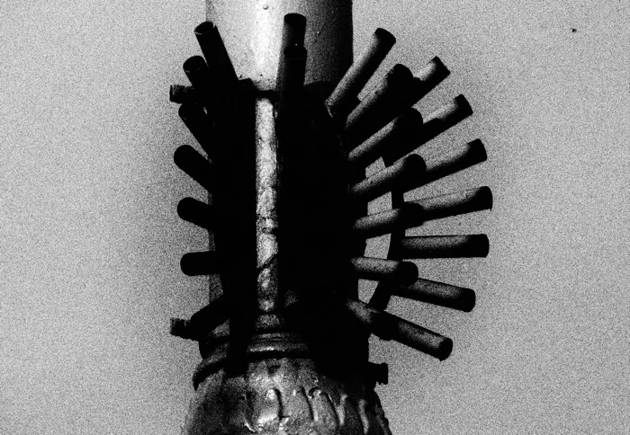 Сергей Шабохин, фрагмент из цикла «Практики подчинения», 2010–2013: «Ключевым лозунгом проекта "Практики подчинения" является фраза "Государство стремится к одному, индивид — к двум", которая отображает базисный разрыв между государством, стремящимся к монополизации и каждым граж