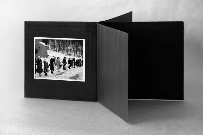 Гинтарас Знамеровски «Стадии жизни», 1992. Объект, фотографии