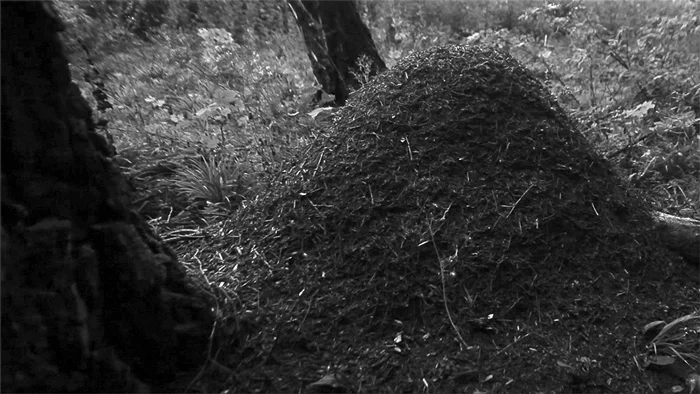 Егор Рогалев «Гиннунгагап», 2017. Кадр из видео. Предоставлено автором