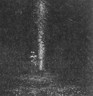 Fenso Lights. Кадр из фильма «Рыцари». 1993 г