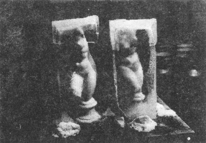 Евгений Митта. Венера во льду. 1995