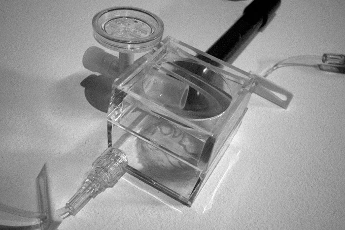 Джулия Редика «hymNext», 2004–2008. Церемониальный набор девственных плев-унисекс, выращенных из собственных вагинальных клеток автора. При поддержке Центра БиоМедиа Ренселлеровского политехнического института, Троя, США. Фото Джулия Редика, 2008. Предоставлено автором