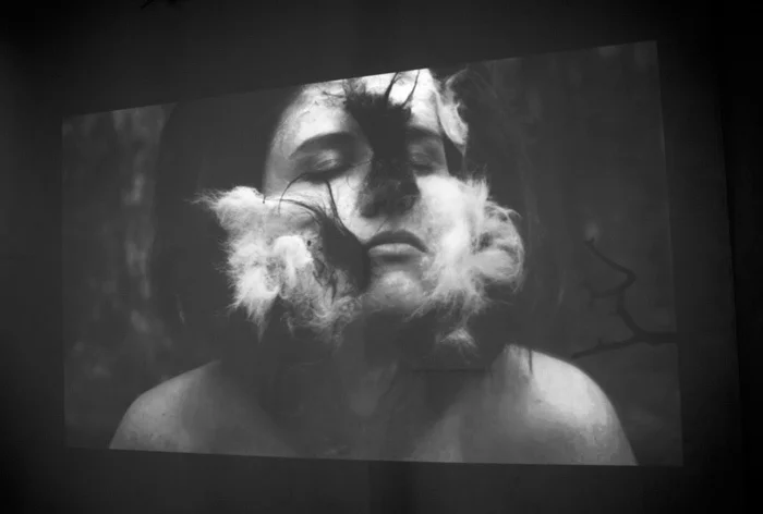 Виктория Чупахина «Weredog, или Шерстяные вмешательства», 2018. Видео. Вид инсталляции в галерее «Электрозавод». Фото Людмила Зинченко. Предоставлено автором