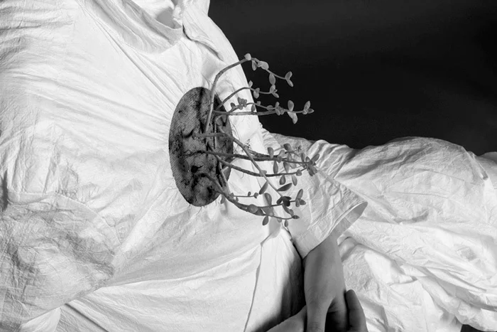 Анастасия Кизилова «Суккулентотерапия», 2016. Перформанс. Объект с вживленными растениями. Предоставлено автором