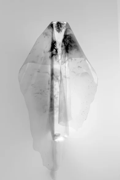 Софа Скидан «Transverse Hyperspace», 2018. Предоставлено автором и галереей Фрагмент