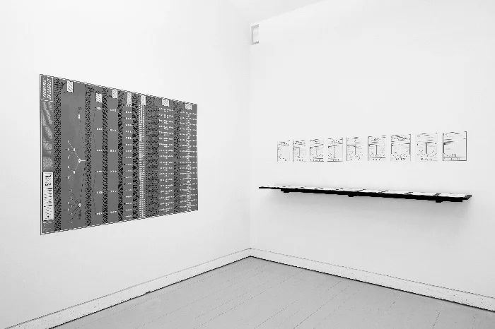 Лоуренс Абу Хамдан «Конфликтующие фонемы», 2012. Вид выставки в Парке Сен-Леже, Франция. Фото Эмилия Урумов