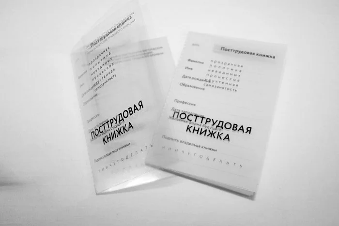 Мария Дмитриева «Посттрудовая книжка», 2018. Объект. Фото Мария Дмитриева. Предоставлено авторами