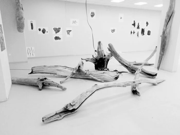 Митя Главанаков «Бревна», 2019. Интерактивная инсталляция. Предоставлено автором