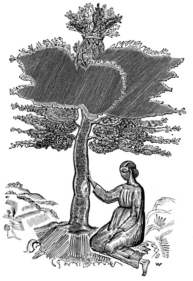 Владимир Фаворский Фронтиспис к «Книге Руфь», 1925