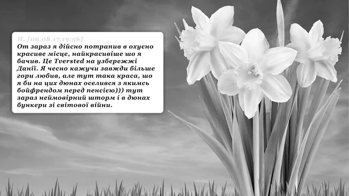 Сашко Протяг «Фильм-песок», 2019. Предоставлено художником