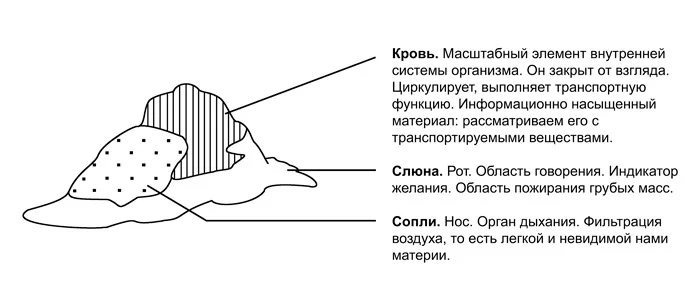 Структура харчи