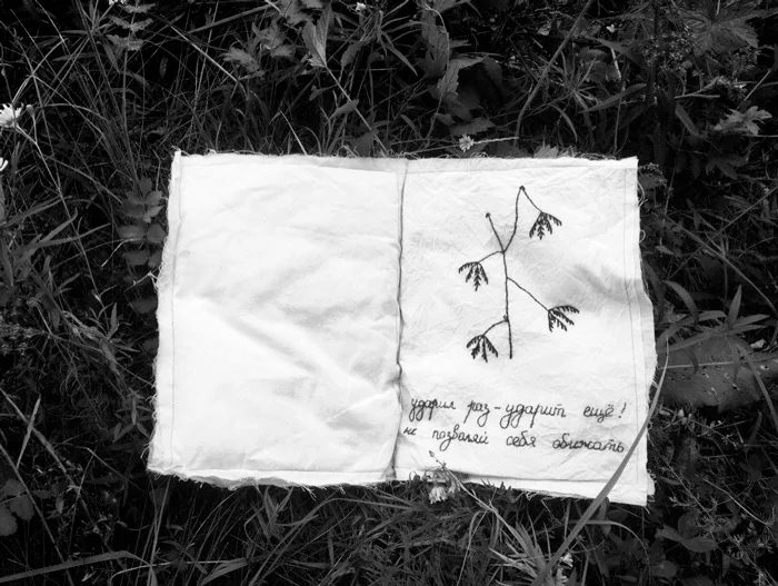 ТО «Наденька» «Mimosa Pudica. Книга обещаний и утешений», 2018. Текстильная книга