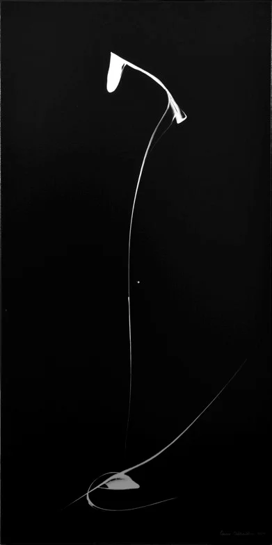 Омар Чхаидзе. «Интроверсия», 2009