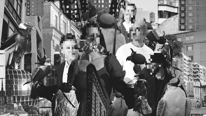 PollyT «Тотошка, мы больше не в Канзасе», 2024. Кадр из видео. Предоставлено автором текста.