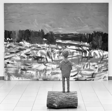 Егор Плотников. «Снег», 2012–2013
