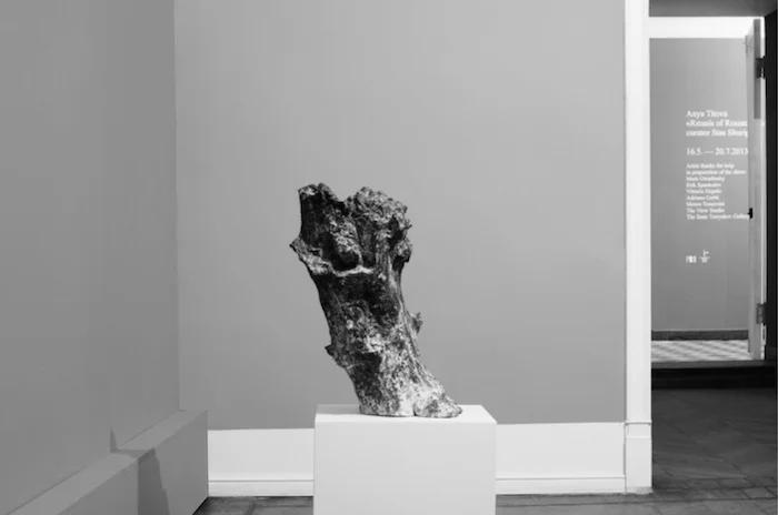 Анна Титова «Ритуалы сопротивления» / «Корень беспорядков», вид экспозиции в Галерее 21, 2012. Фото: Евгений Случанивский.