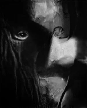 Тревор Паглен «Вампир (Корпус: Монстры капитализма)», из серии «Adversarially Evolved Hallucinations», 2017. Предоставлено художником, Fellowship, галереей «Altman Siegel» (Сан-Франциско) и галереей «Pace».