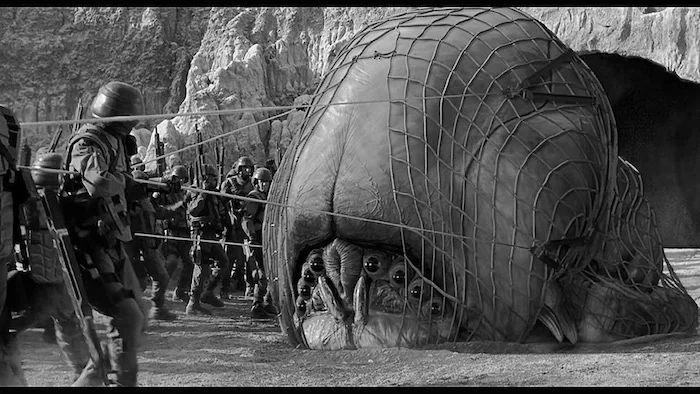 Кадр из фильма «Звездный десант» (1997).