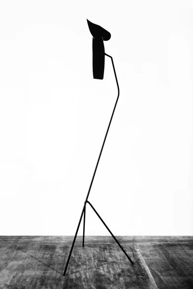 Анна Титова. VI, металл, пластик, 2011