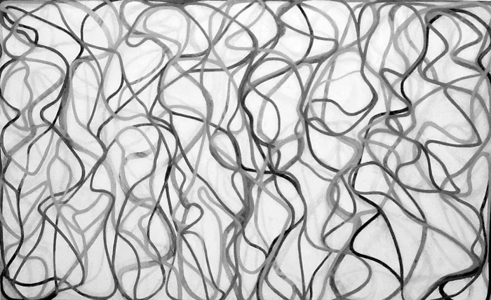 Брайс Марден. «Музы», 1993