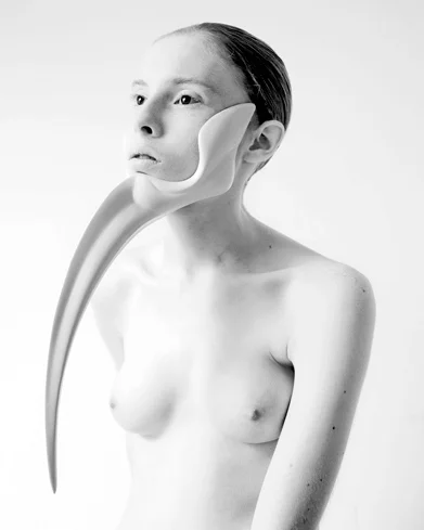 Анна Райчевич. «Животное: другая сторона эволюции», 2012. Фото Фернандо Лесса
