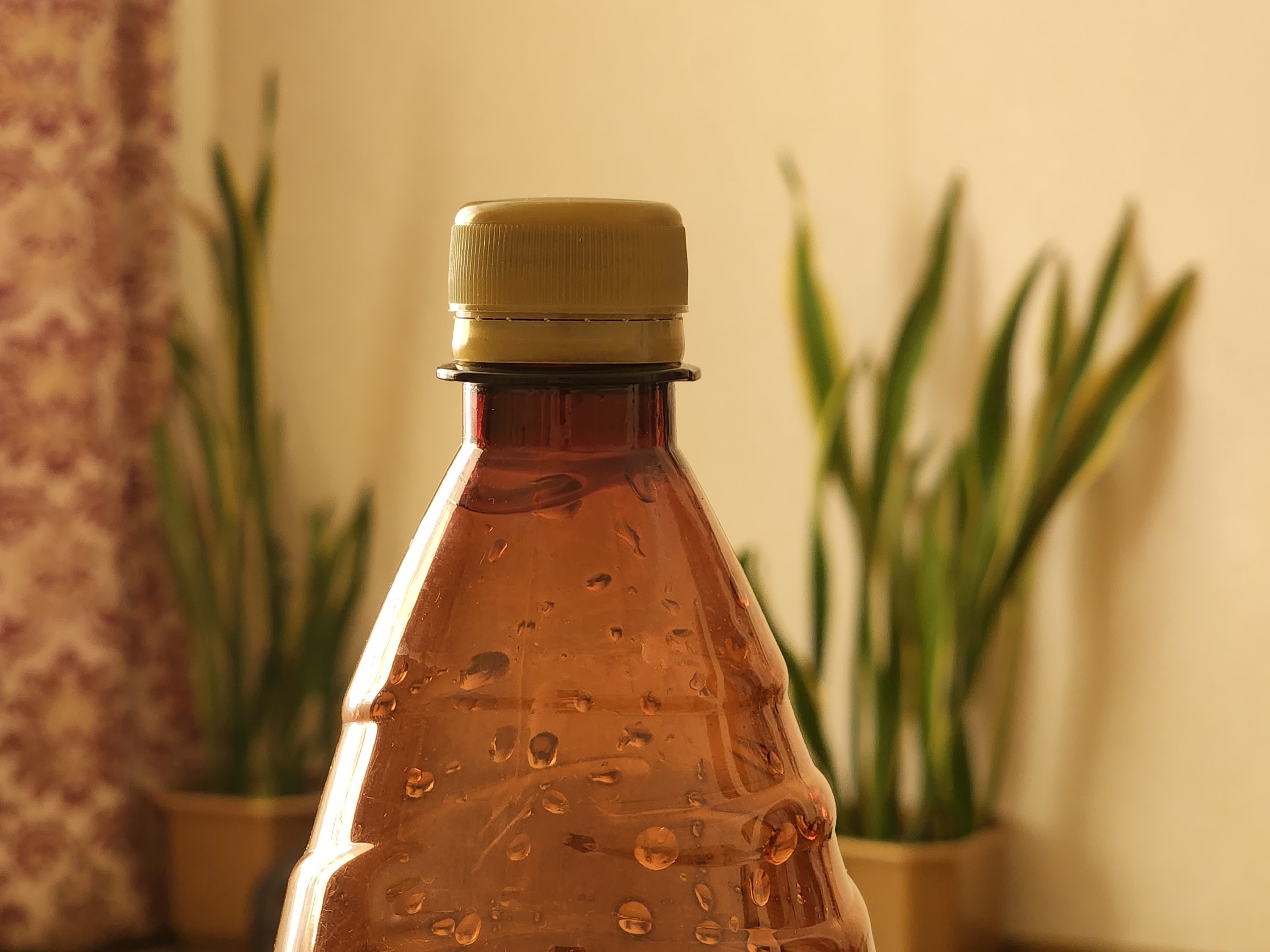 Нет картинки