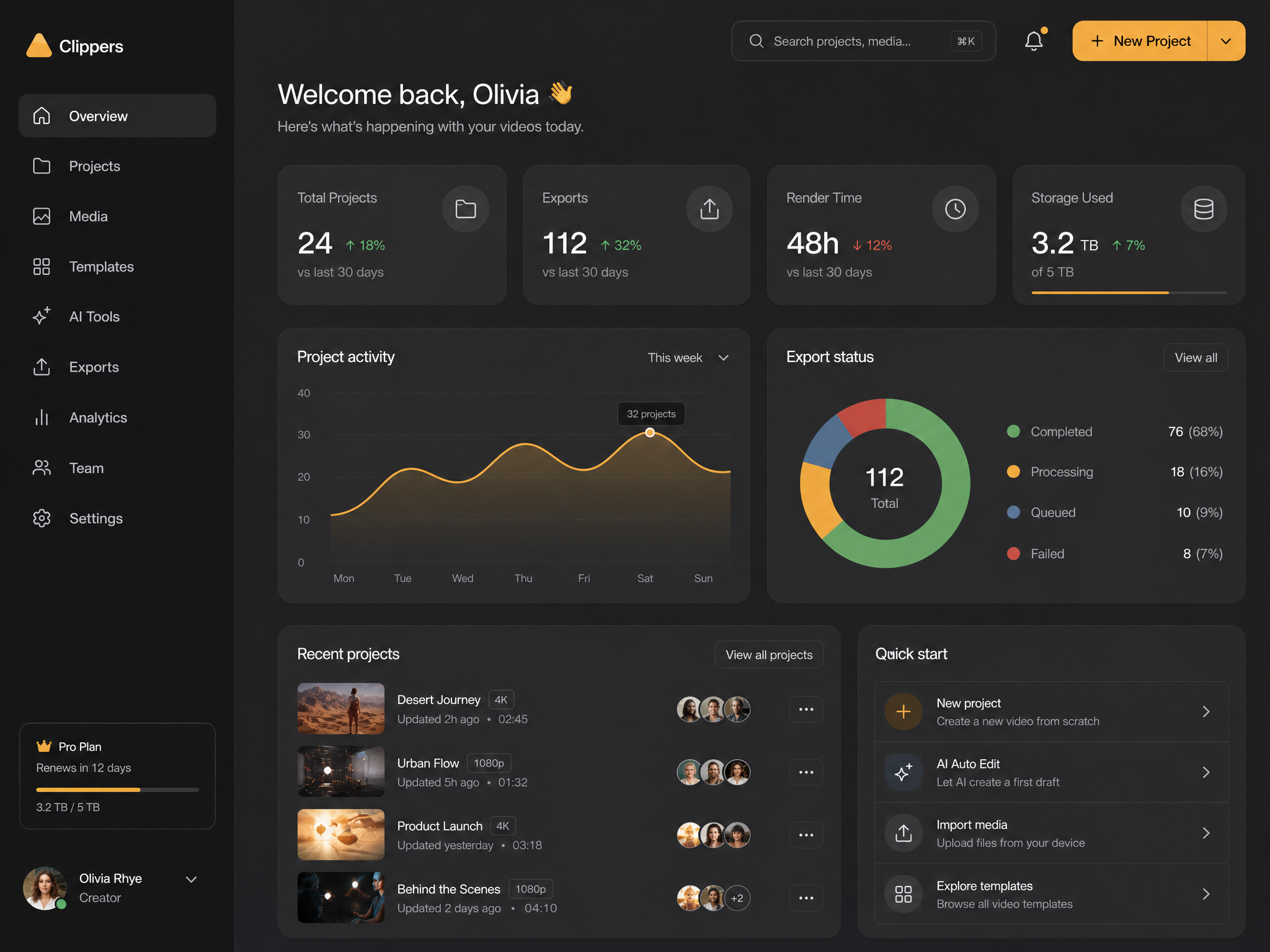 Dashboard Overview web design