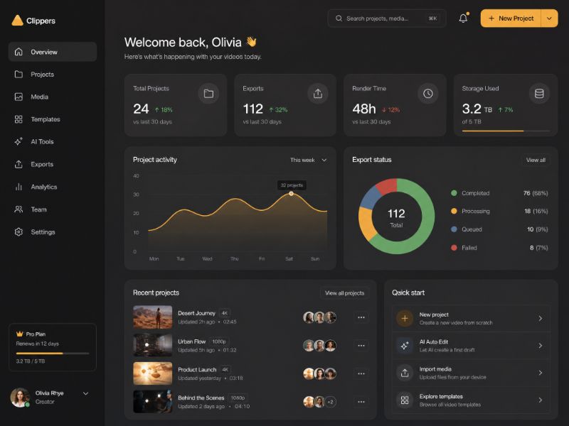 Dashboard Overview web design