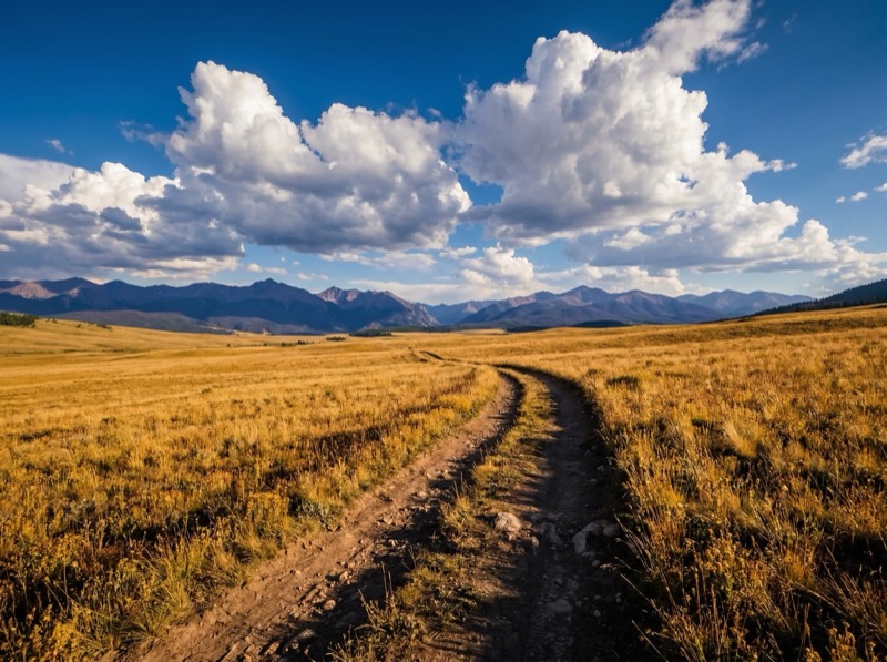 Dirt Track Through Golden Prairie to Mountains