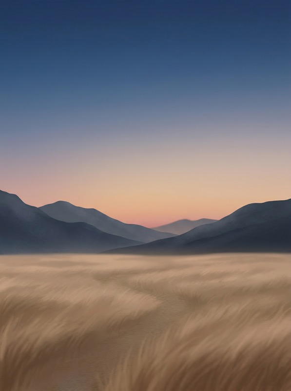Misty mountain valley at sunrise with tall grass