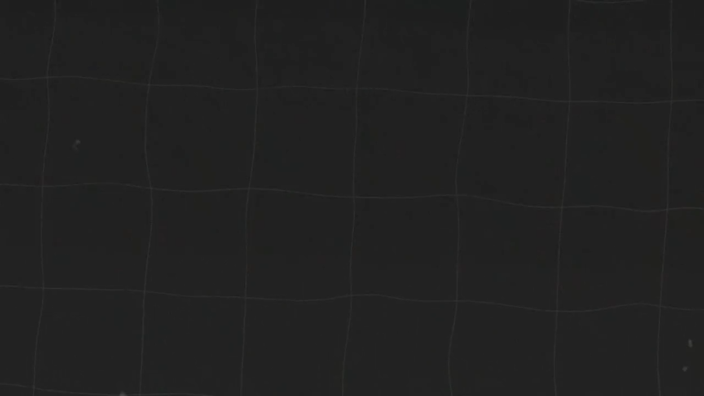 Iman Gadzhi Text Reveal