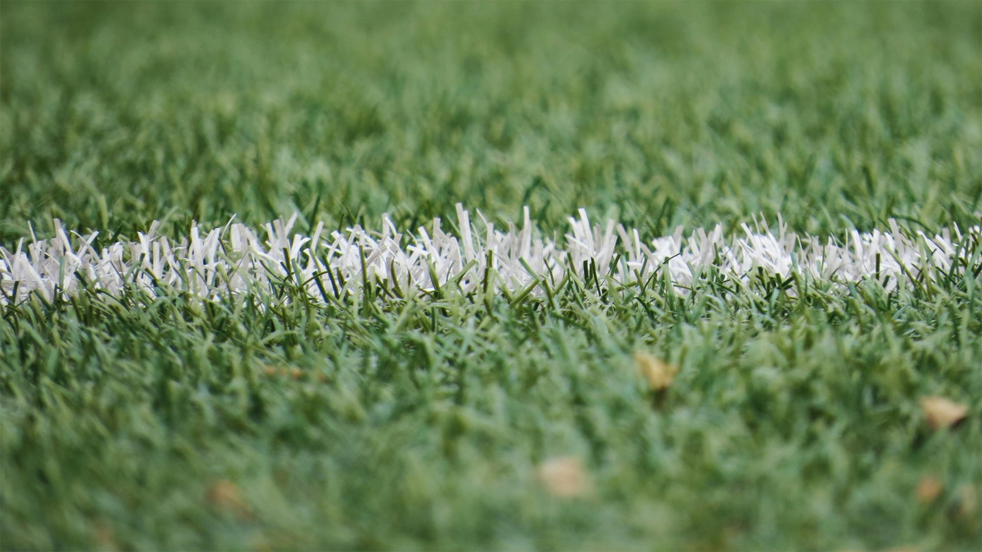 23 Powerful Sports Quotes That Will Ignite Your Inner Champion