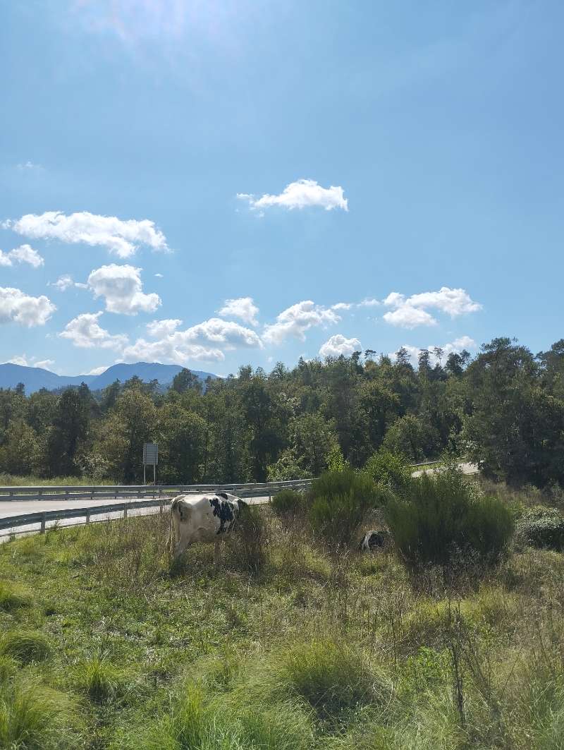 Ruta desamparados  · Vidreres, Girona, España | Quedada motera — Kando Riders