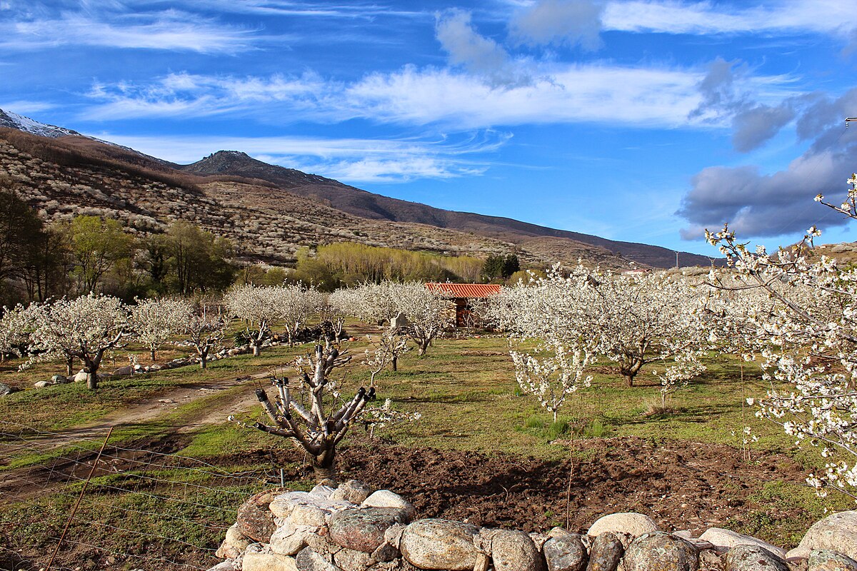 Valle del Jerte · Extremadura | Ruta en moto — Kando Riders