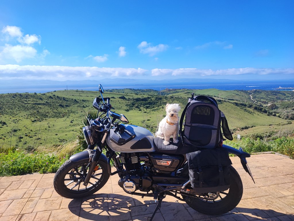 Mirador al estrecho y caminos de pastores, mi perrete y mi motete esta… | David — Kando Riders
